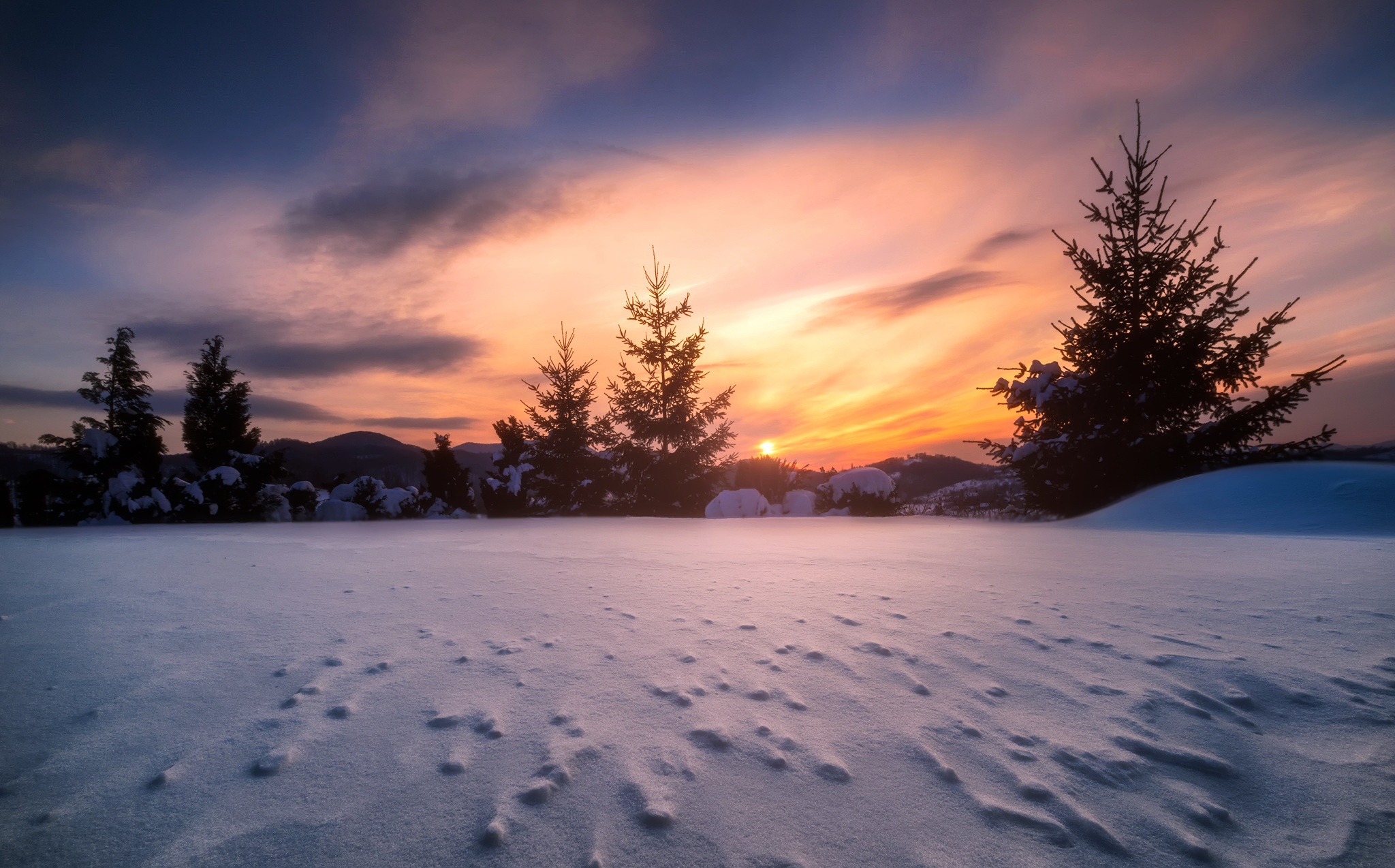 dark, Winter, Snow, Trees, Sunlight, Nature Wallpapers HD / Desktop and