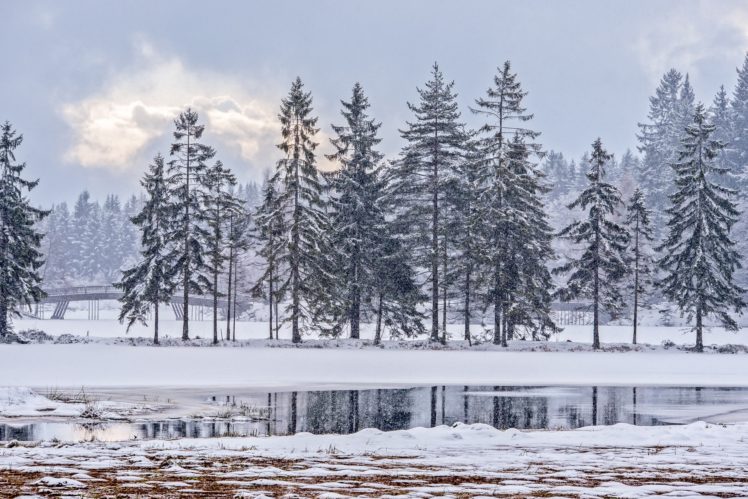 winter, Cold, Snow, Trees HD Wallpaper Desktop Background