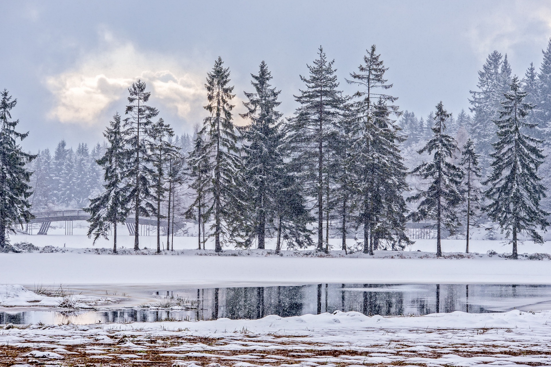 winter, Cold, Snow, Trees Wallpaper