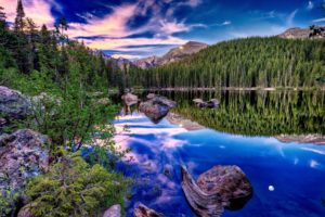 nature, Landscape, Reflection, Forest, Trees, Pine trees