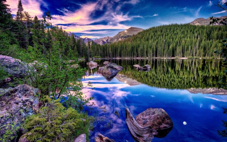 nature, Landscape, Reflection, Forest, Trees, Pine trees HD Wallpaper Desktop Background