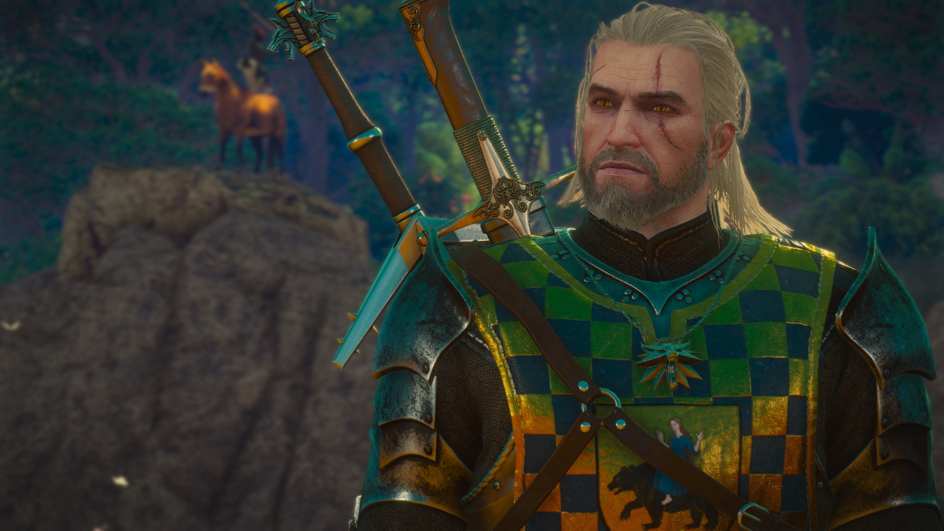 the witcher video game