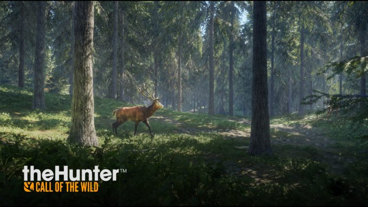 the hunter call of the wild, Deer, Video games, Murder HD Wallpaper Desktop Background
