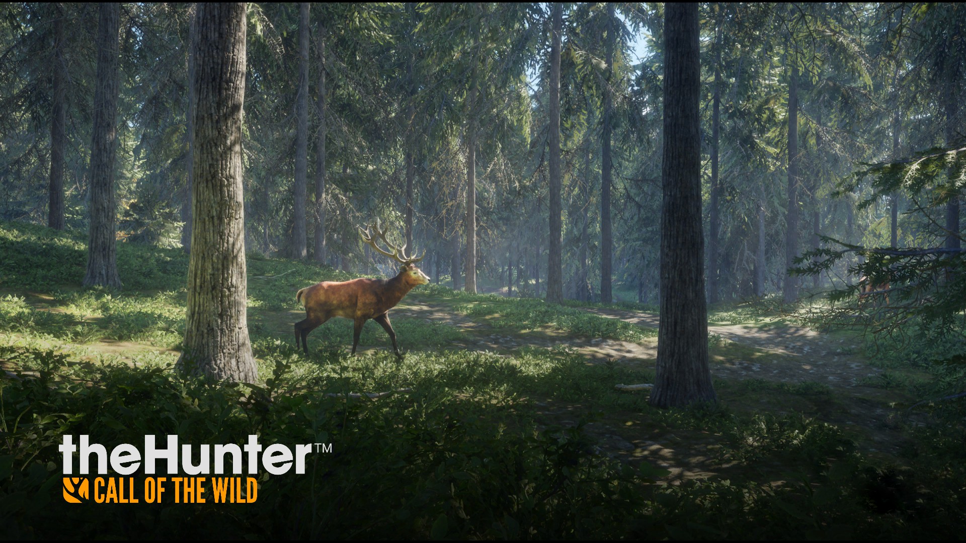hunter call of the wild game map