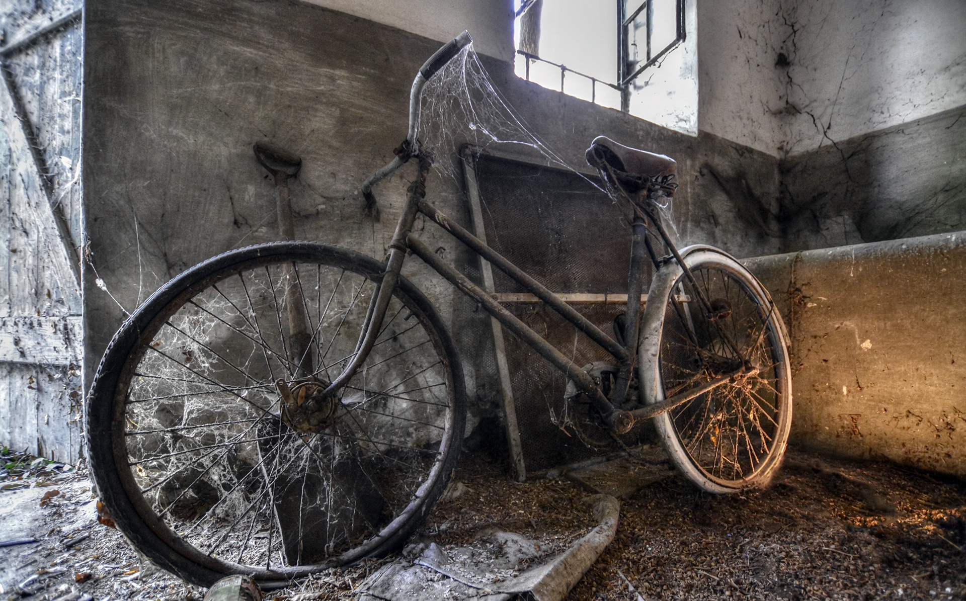 wreck, Vehicle, Old, Spiderwebs, Bicycle Wallpaper