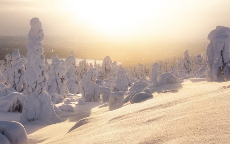 sunlight, Winter, Nature, Landscape, Snow HD Wallpaper Desktop Background