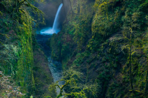 Clifford Paguio, Nature, Landscape, Water, Trees, Valley, Waterfall, Portrait display, Forest, Long exposure, Moss, Oregon, USA