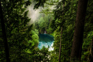 nature, Landscape, Water, Trees, Lake, Pine trees, Forest