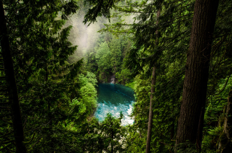 nature, Landscape, Water, Trees, Lake, Pine trees, Forest HD Wallpaper Desktop Background
