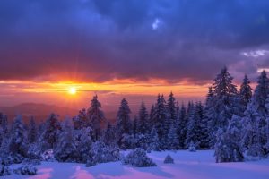 sunlight, Sky, Winter, Nature, Snow, Trees, Landscape