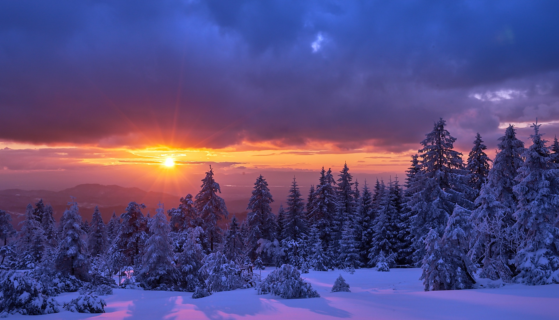 sunlight, Sky, Winter, Nature, Snow, Trees, Landscape Wallpaper