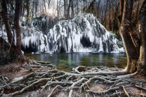 nature, Ice, Water, Trees
