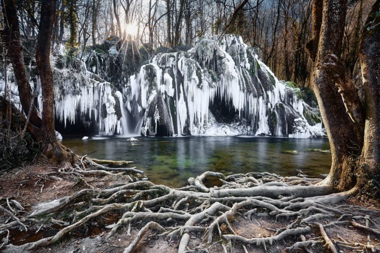 nature, Ice, Water, Trees HD Wallpaper Desktop Background