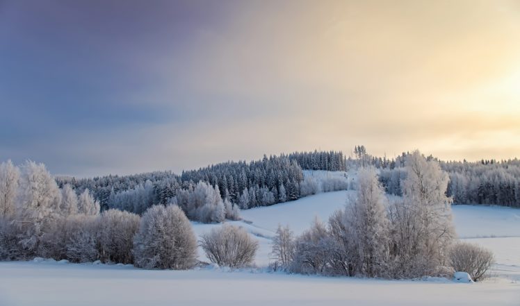 Skrive ud Løve Lærd nature, Winter, Landscape, Snow Wallpapers HD / Desktop and Mobile  Backgrounds