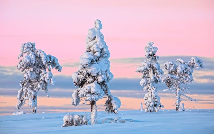 snow, Winter, Trees, Nature HD Wallpaper Desktop Background