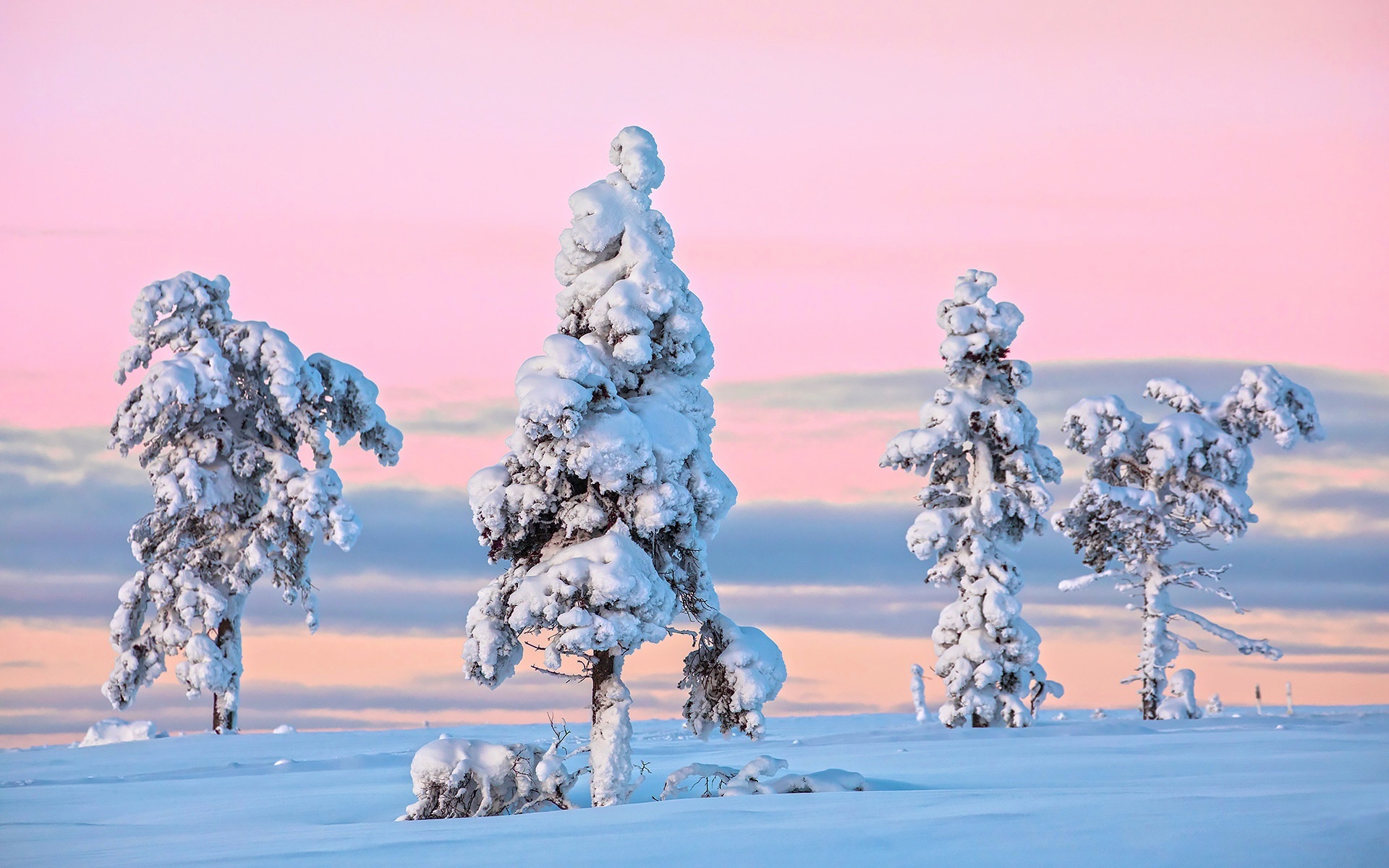 snow, Winter, Trees, Nature Wallpaper