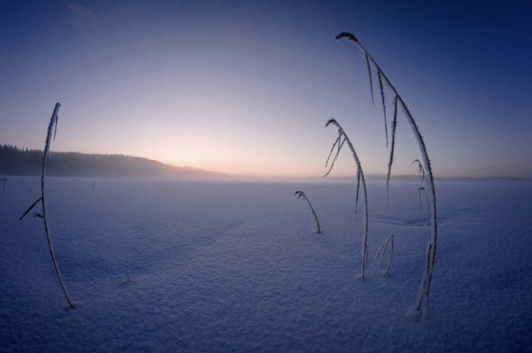 winter, Snow, Ice, Cold, Nature HD Wallpaper Desktop Background