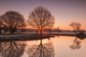 sunrise, Landscape, Reflection, Trees, Water