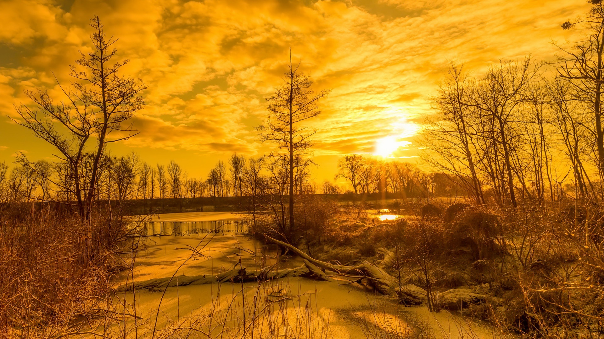 nature, Gold, Yellow, Landscape, Sunlight Wallpaper