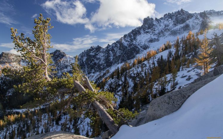 nature, Trees, Mountains, Winter, Snow HD Wallpaper Desktop Background