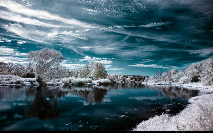 landscape, Negative, Forest, Lake, Winter HD Wallpaper Desktop Background