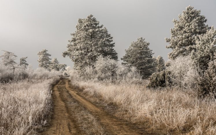 dirt road, Nature, Landscape, Trees, Infrared HD Wallpaper Desktop Background