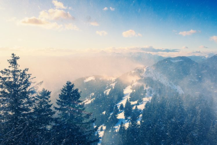 landscape, Trees, Nature, Winter HD Wallpaper Desktop Background