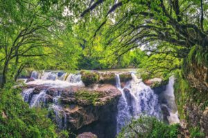 green, Trees, Water, Waterfall, Nature