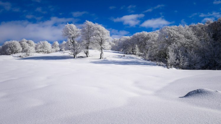 snow, Winter, Clear sky, Trees HD Wallpaper Desktop Background