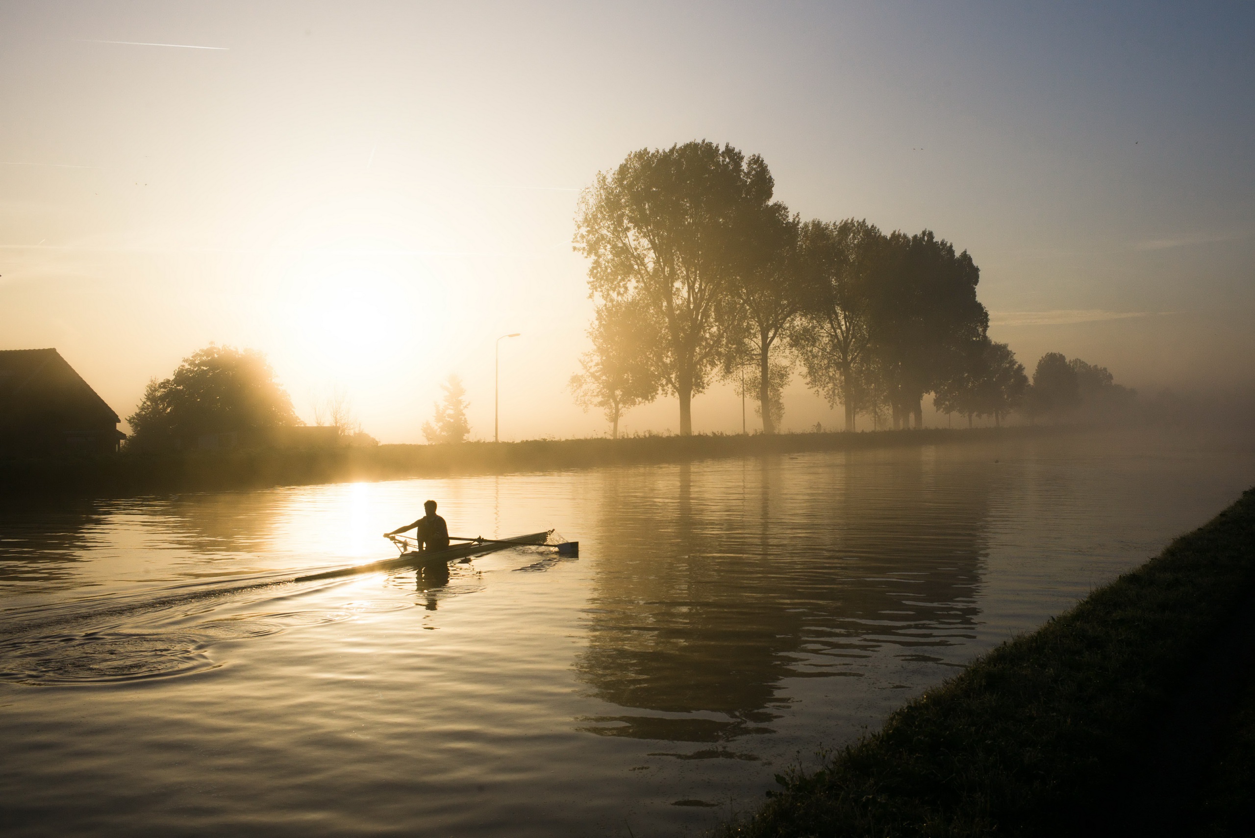 canal, Sunlight, Water, Trees, Rowing Wallpaper
