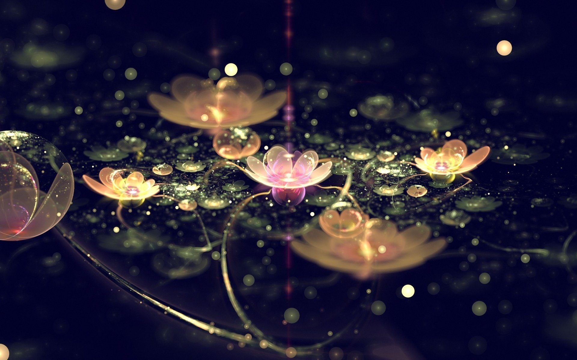 abstract, Lights, Art, Petals, Flowers, Flower Wallpaper