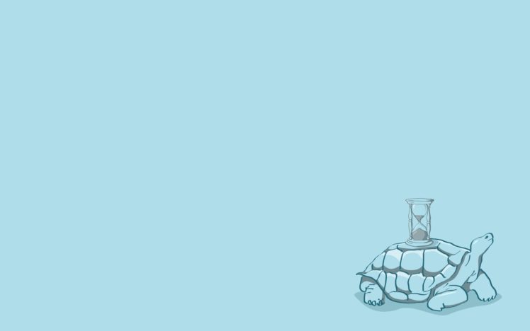 minimalistic, Turtles HD Wallpaper Desktop Background