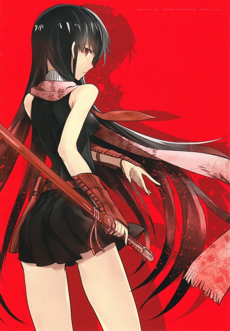 Akame ga Kill!, Akame, Anime girls HD Wallpaper Desktop Background