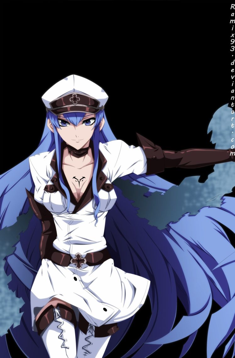 Akame Ga Kill Esdeath Wallpapers Hd Desktop And Mobile Backgrounds