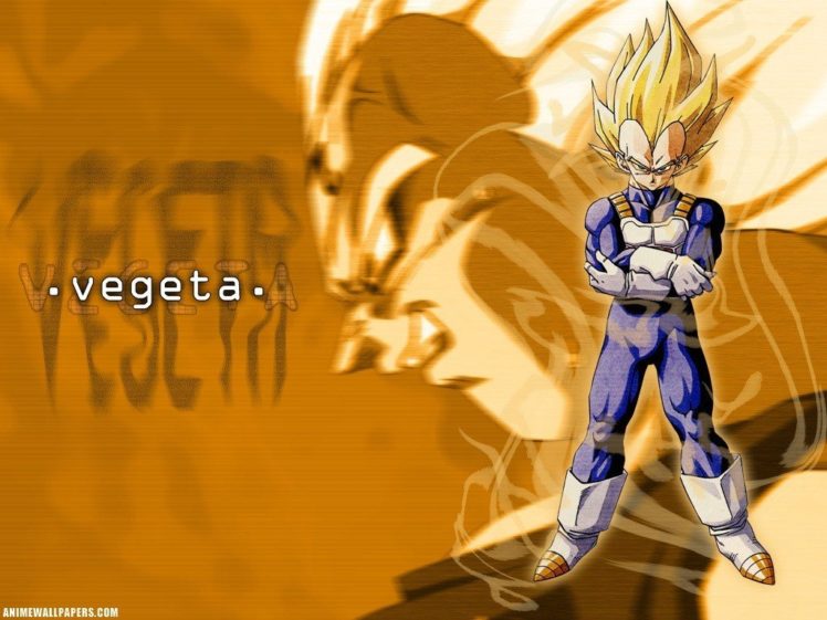 Dragon Ball Z, Vegeta HD Wallpaper Desktop Background