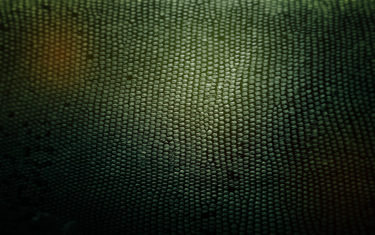 snakes, Textures, Skin HD Wallpaper Desktop Background