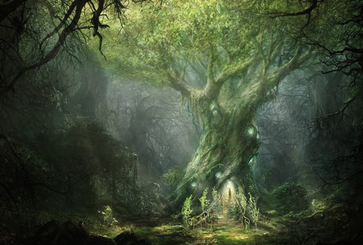 art, Ilya, Nazarov, Lord, Of, The, Rings, War, In, The, North, Forest, Tree, Sign, Mag, Fantasy, Trees, Magical, Lotr HD Wallpaper Desktop Background