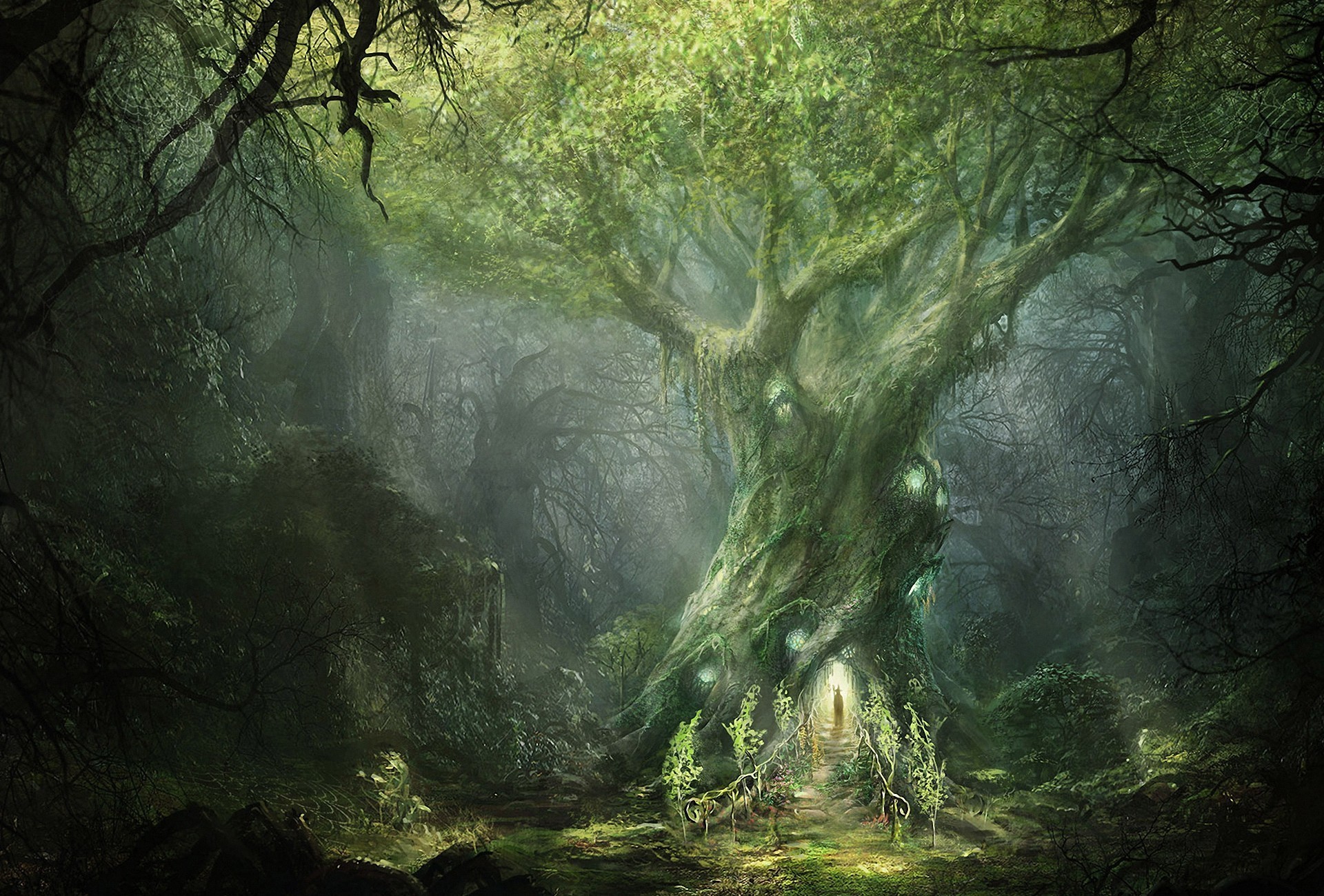 art, Ilya, Nazarov, Lord, Of, The, Rings, War, In, The, North, Forest, Tree, Sign, Mag, Fantasy, Trees, Magical, Lotr Wallpaper