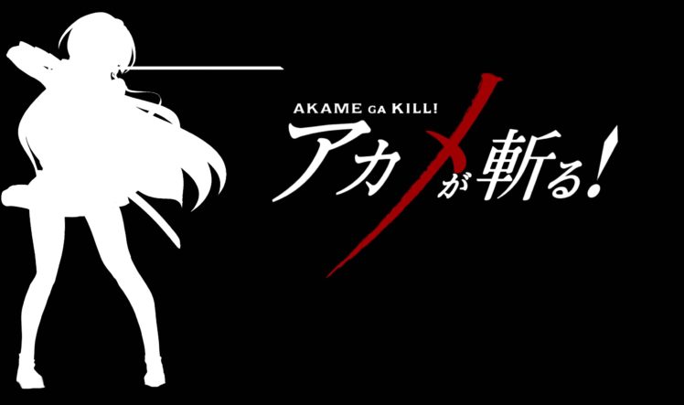 anime, Akame ga Kill!, Akame HD Wallpaper Desktop Background