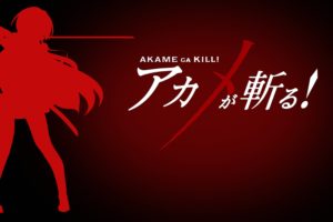 anime, Akame ga Kill!, Akame