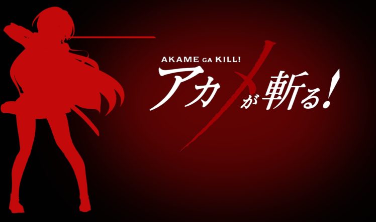 anime, Akame ga Kill!, Akame HD Wallpaper Desktop Background