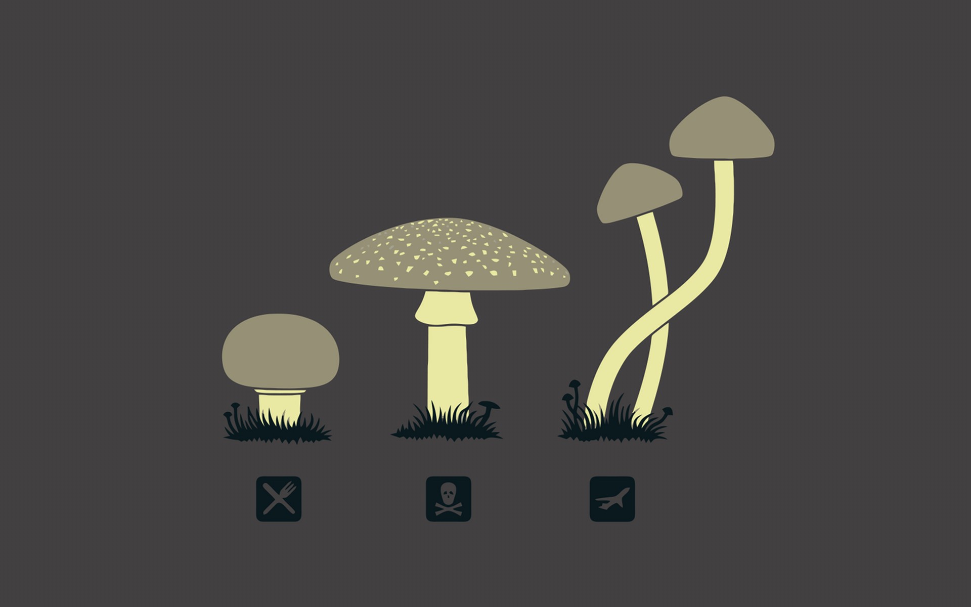 drugs, Mushrooms, Fun, Art Wallpaper
