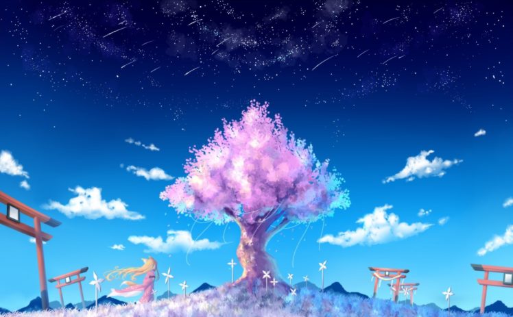stars, Trees, Sky HD Wallpaper Desktop Background