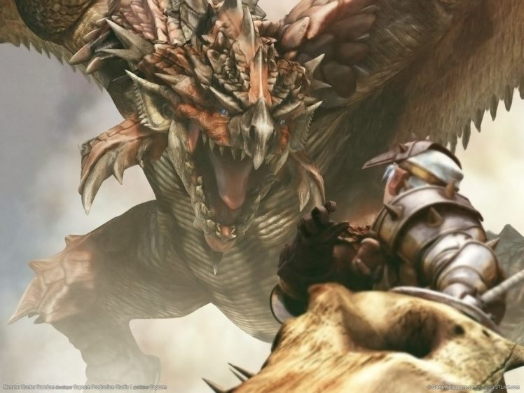 Monster Hunter, Dragon, Rathalos HD Wallpaper Desktop Background