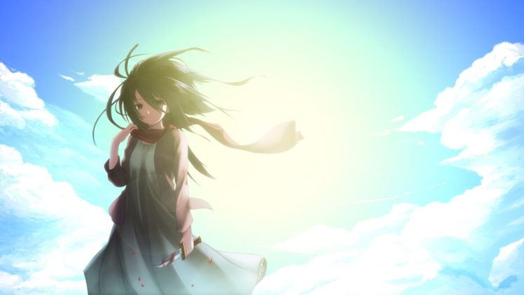 Shingeki no Kyojin, Mikasa Ackerman, Anime girls, Anime HD Wallpaper Desktop Background