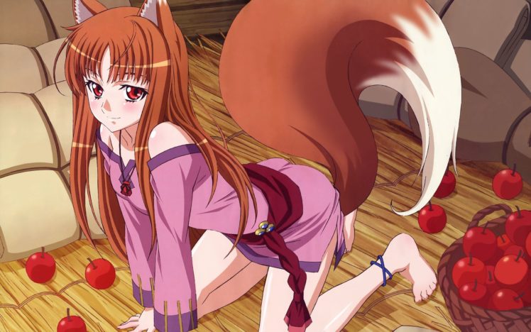 Spice and Wolf, Holo, Apples, Anime girls, Anime HD Wallpaper Desktop Background