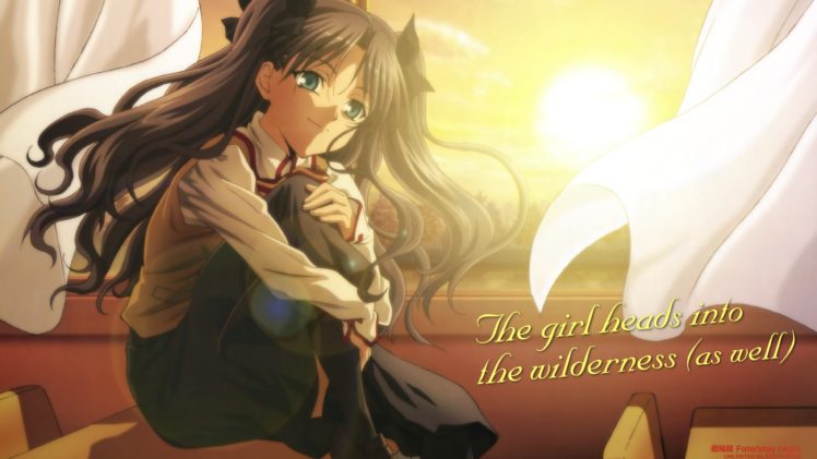 anime, Fate Series HD Wallpaper Desktop Background