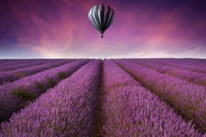 nature, Landscape, Field, Fields, Air, Balloon, Flowers, Purple, Sky