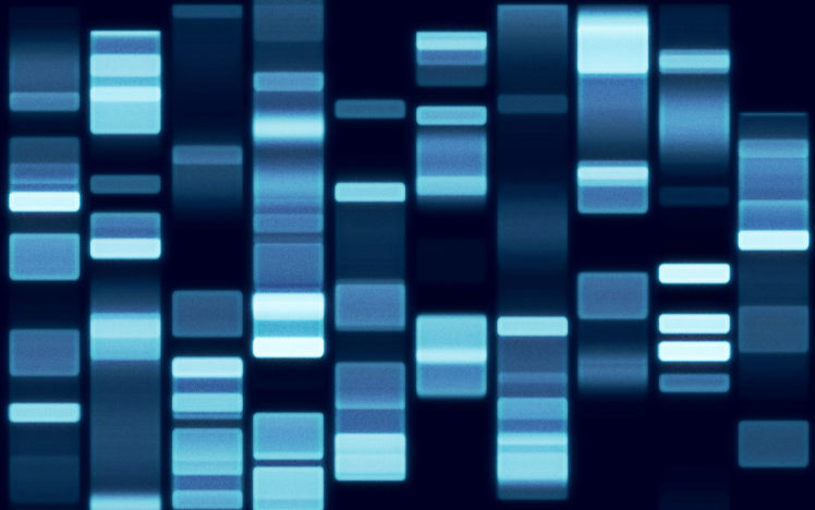 genetic, Sequence, Of, Dna HD Wallpaper Desktop Background