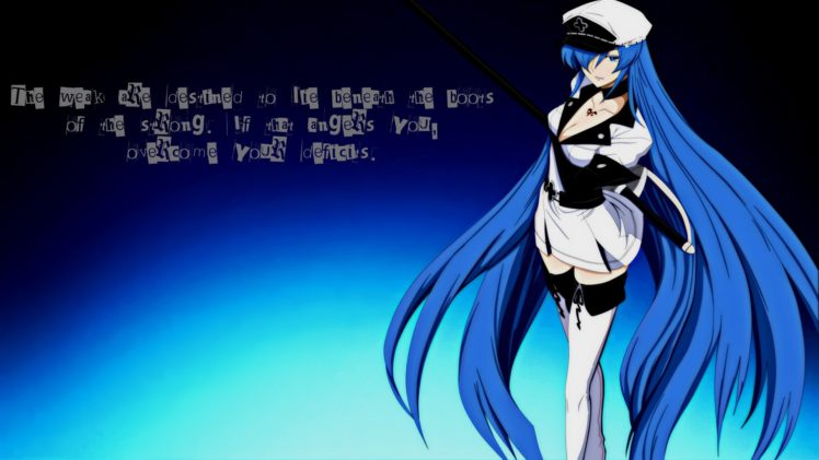 blue, Anime girls, Anime, Akame ga Kill!, Esdeath HD Wallpaper Desktop Background